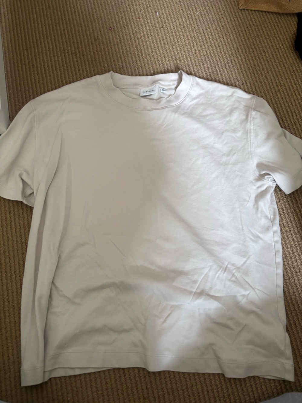 Aritzia babaton pegasus tshirt